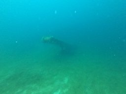 Bilder_062